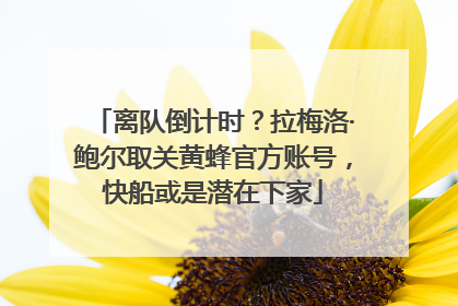 离队倒计时？拉梅洛·鲍尔取关黄蜂官方账号，快船或是潜在下家